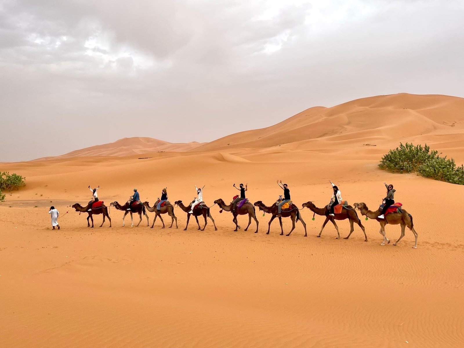 Morocco Desert Tours