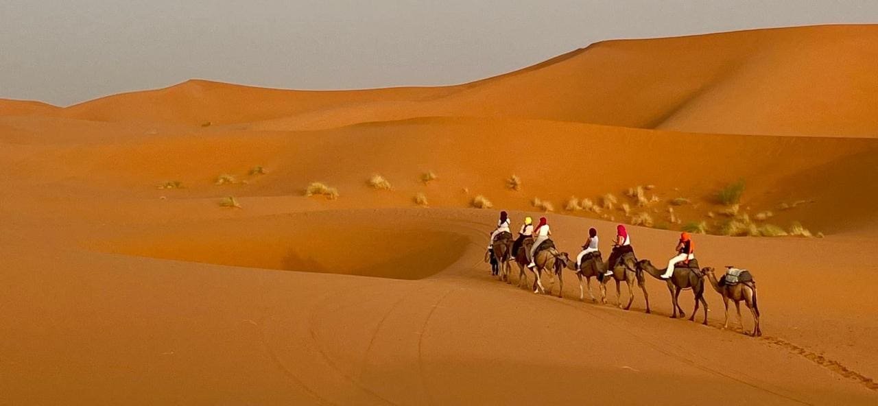 Camel trek at sunset in the Erg Chebbi dunes, Merzouga