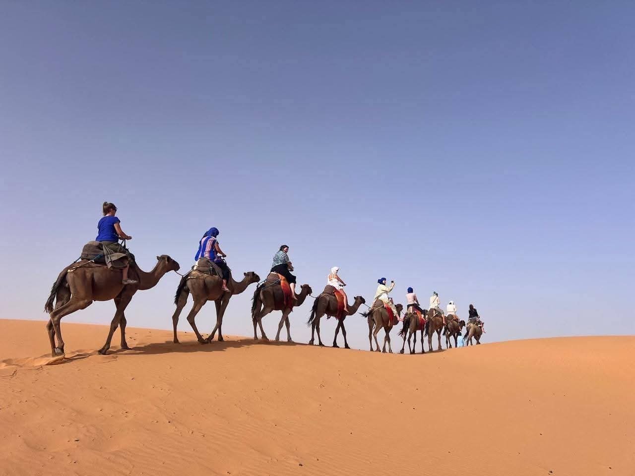 Tours from Marrakech