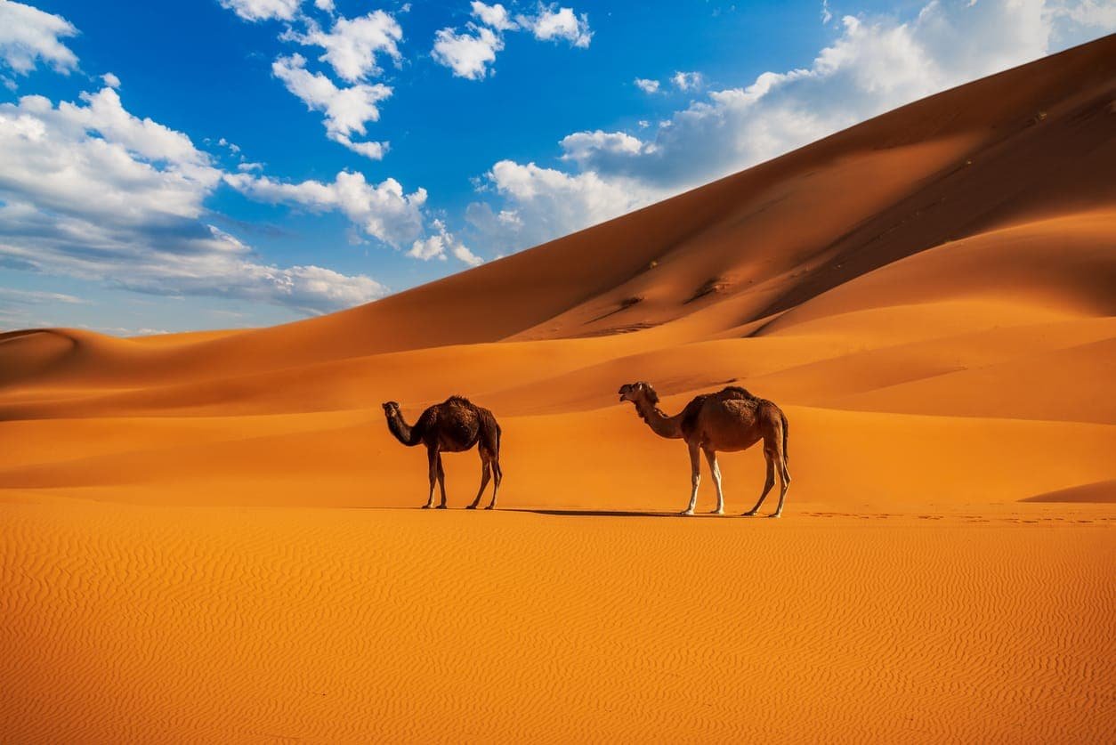 13 Days Morocco Tour from Casablanca