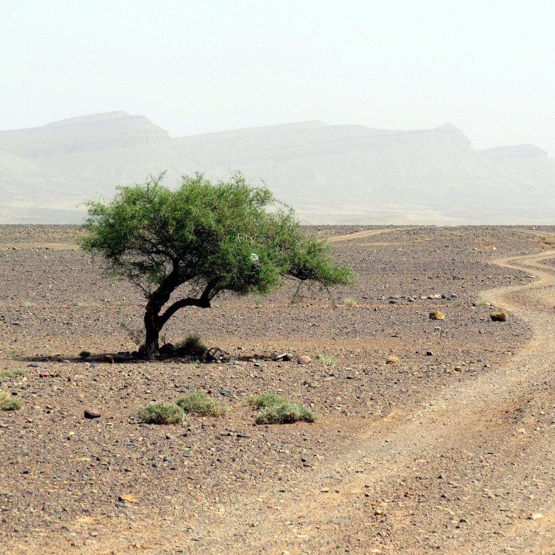 5-day Sahara Desert Tour from Marrakesh to Fes gallery