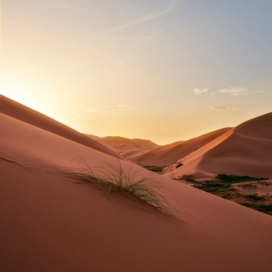 Sahara Desert Tour from Marrakesh to Fes / 4 Days