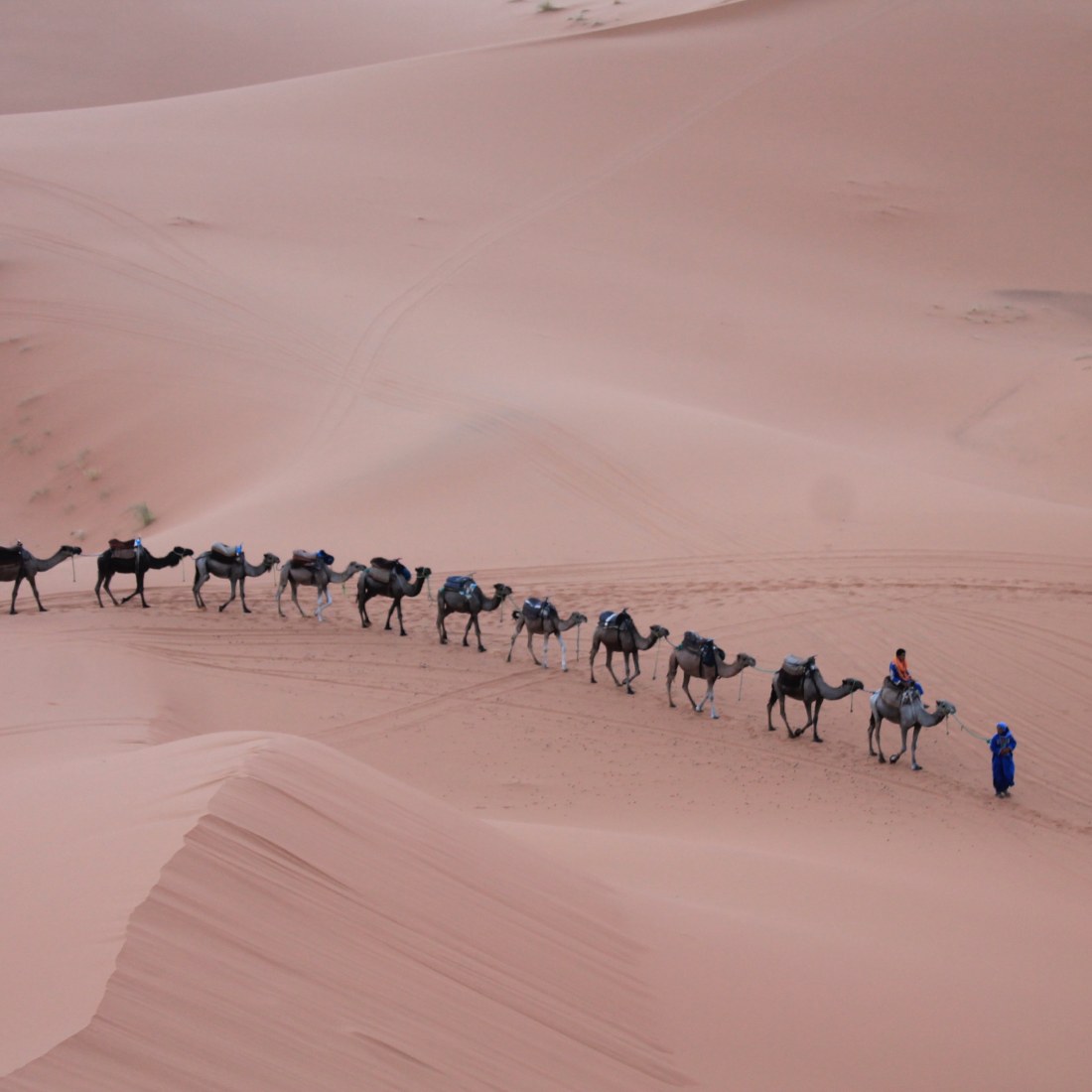 Sahara Desert Tour from Fes to Marrakesh / 4 Days